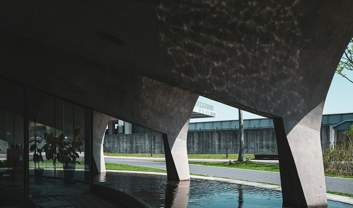 Photo by Declan Sun on Unsplash